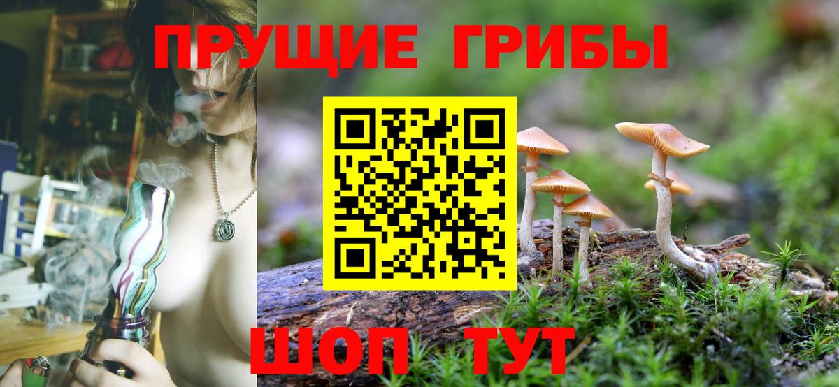 Боровичи  закладки  Вход с VPN  Псилоцибиновые грибы Cubensis  Галлюциногенные грибы Psilocybine cubensis 