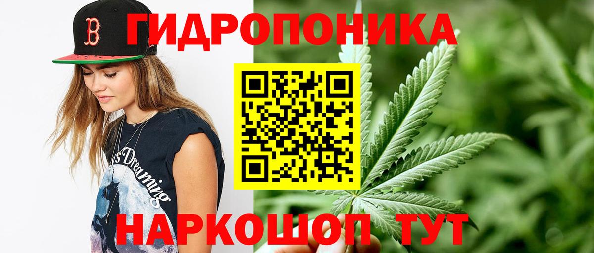 Бошки Шишки Ganja Боровичи